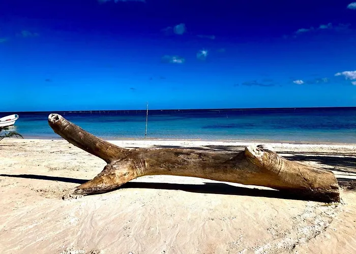 Caribe Dream Private Beach