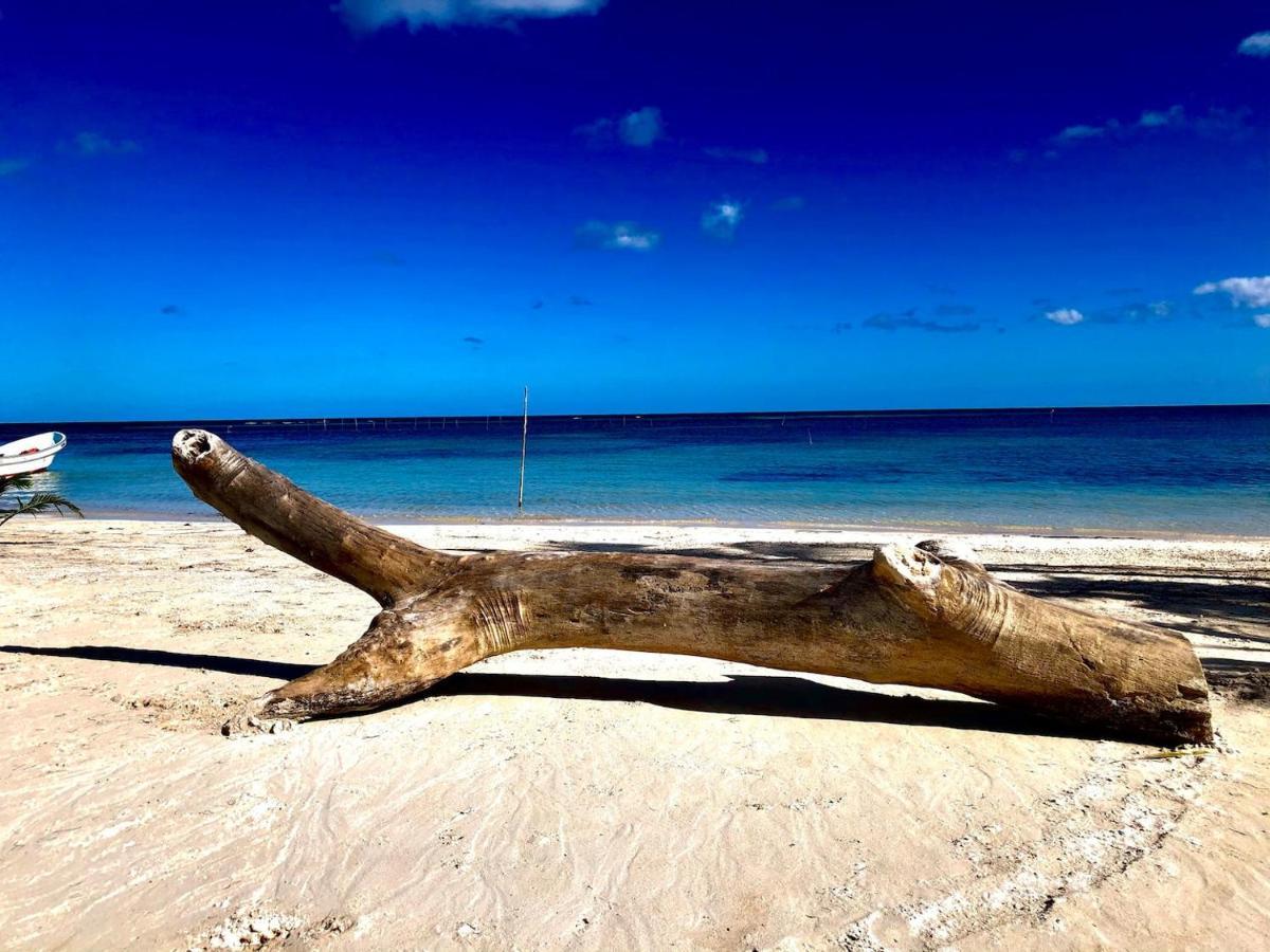 Caribe Dream Private Apartment
